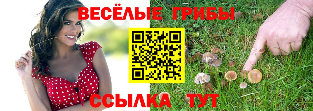 Осинники  Псилоцибиновые грибы MAGIC MUSHROOMS  Галлюциногенные грибы мухоморы  Вход с VPN 