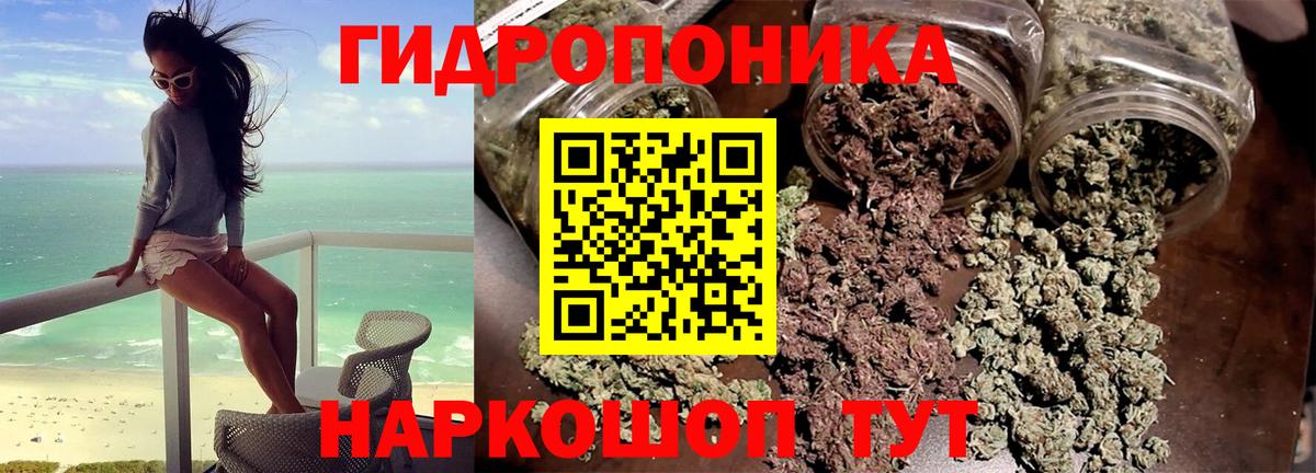 МАРИХУАНА семена Осинники